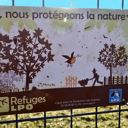 Havre De Paix Et Lavandes - Tres Calme - Salle De Jeux - Jacuzzi Chauffe - Idealement Placee - Aucun Vis A Vis *