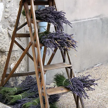 Havre De Paix Et Lavandes - Tres Calme - Salle De Jeux - Jacuzzi Chauffe - Idealement Placee - Aucun Vis A Vis Villa *