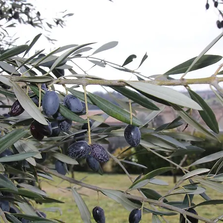 Villa Havre De Paix Et Lavandes - Tres Calme - Salle De Jeux - Jacuzzi Chauffe - Idealement Placee - Aucun Vis A Vis Savasse