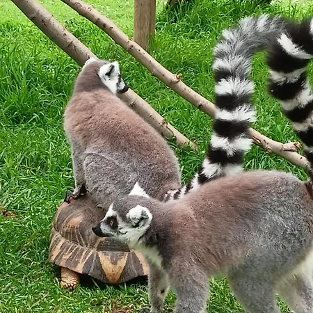 Villa Havre De Paix Et Lavandes - Tres Calme - Salle De Jeux - Jacuzzi Chauffe - Idealement Placee - Aucun Vis A Vis *