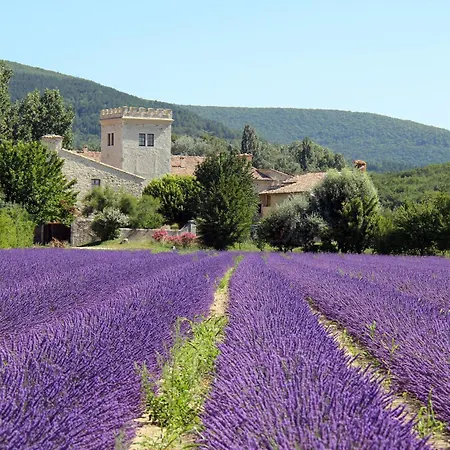 Villa Havre De Paix Et Lavandes - Tres Calme - Salle De Jeux - Jacuzzi Chauffe - Idealement Placee - Aucun Vis A Vis